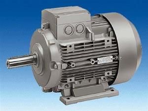 Siemens 1MA62802AD60 Motor 64 kWt, 3000 U/min; IP55 400/690 Volt 50 Hz; IM B 3; EEXEIIT2 Turkey
