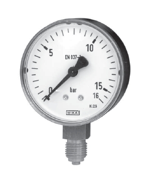 WIKA 111-10-Ø-100-D25BAR-G1/2B Turkiye